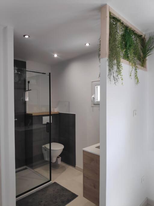 Maison Independante Avec Terrasse & Parking Prive Hérépian 外观 照片