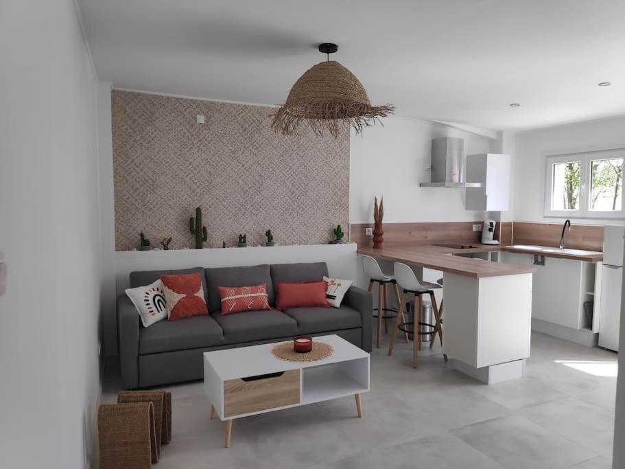 Maison Independante Avec Terrasse & Parking Prive Hérépian 外观 照片